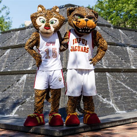 From the Sidelines to Social Media: The Iupuc Mascot's Online Presence